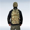 BTR-BS8 Multicam – система MOLLE и панели крепления BTR-BS8 Multicam – система MOLLE и панели крепления