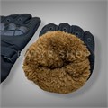 Зимние перчатки "Grip" wDbzbmNDg0qhuS4F4nn9Z3 Зимние перчатки "Grip" wDbzbmNDg0qhuS4F4nn9Z3